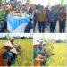 Deli Serdang Peringkat 11 Penyedia Pangan Nasional, Bupati dan Wakil Bupati Lakukan Panen Raya Bersama di Tanjung Morawa.