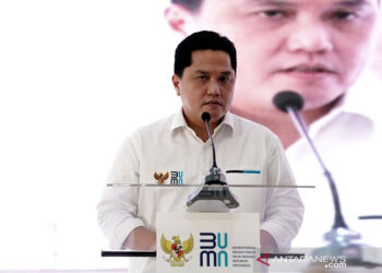 Menteri BUMN, Pangkas dan Gabungkan PTPN ke Dalam Holding.