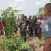 PT. NDP Bersama di Duga Oknum TNI, Serobot Lahan Warga di Desa Sampali.