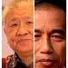 PENJARAKAN JOKOWI DAN AGUAN KARENA KOLUSI
