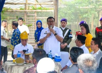 Deli Serdang Jadi Sentra Anggur Sumut, Pemkab Dorong Ekonomi Desa Lewat BUMDes dan Inovasi Pertanian