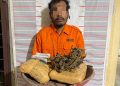 Polsek Bahorok Gagalkan Peredaran 2 Kg Ganja di Bukit Lawang