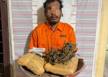 Polsek Bahorok Gagalkan Peredaran 2 Kg Ganja di Bukit Lawang