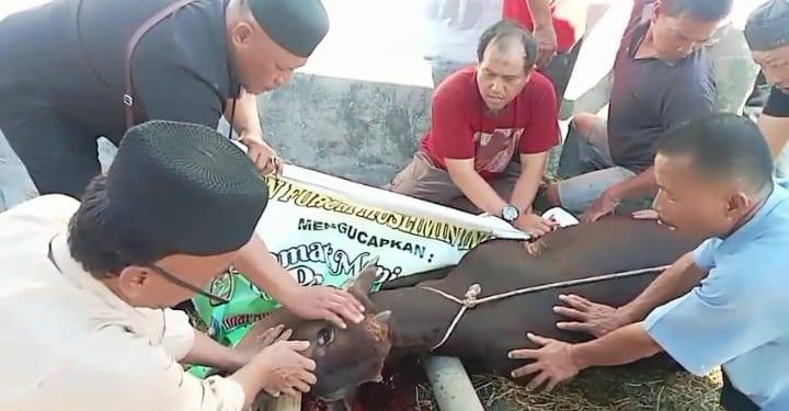 “Mengalirkan Keikhlasan di Hari Tasyrik: POI Sumut Satukan Ormas dalam Ibadah Qurban”