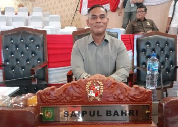 Pergantian Pimpinan DPRD Medan Dinilai Wajar, Saipul Bahri: Bagian dari Dinamika Politik