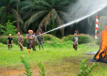 Antisipasi Karhutla, PTPN IV PalmCo Perkuat Deteksi Dini dan Patroli di Sumatera-Kalimantan
