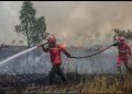 799 Hotspot Karhutla! Pemerintah Ditantang, Pengawasan Hutan Disorot