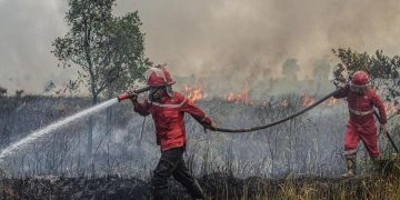799 Hotspot Karhutla! Pemerintah Ditantang, Pengawasan Hutan Disorot