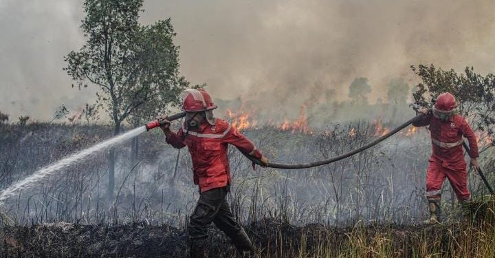799 Hotspot Karhutla! Pemerintah Ditantang, Pengawasan Hutan Disorot