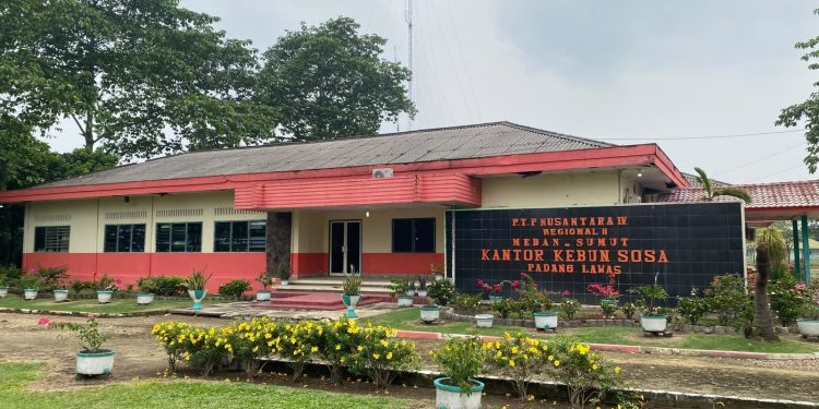 Jaga Aset Negara, PTPN IV Regional 2 Pastikan 65 Ha Lahan di Kebun Sosa Masuk HGU