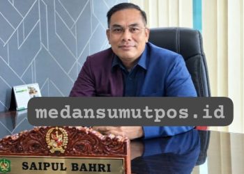 Jangan Cuma Tangkap Pengguna! Saipul Bahri Desak Bandar Narkoba Dibongkar
